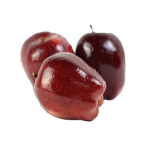 Pome fruit product type fresh top red huaniu apples